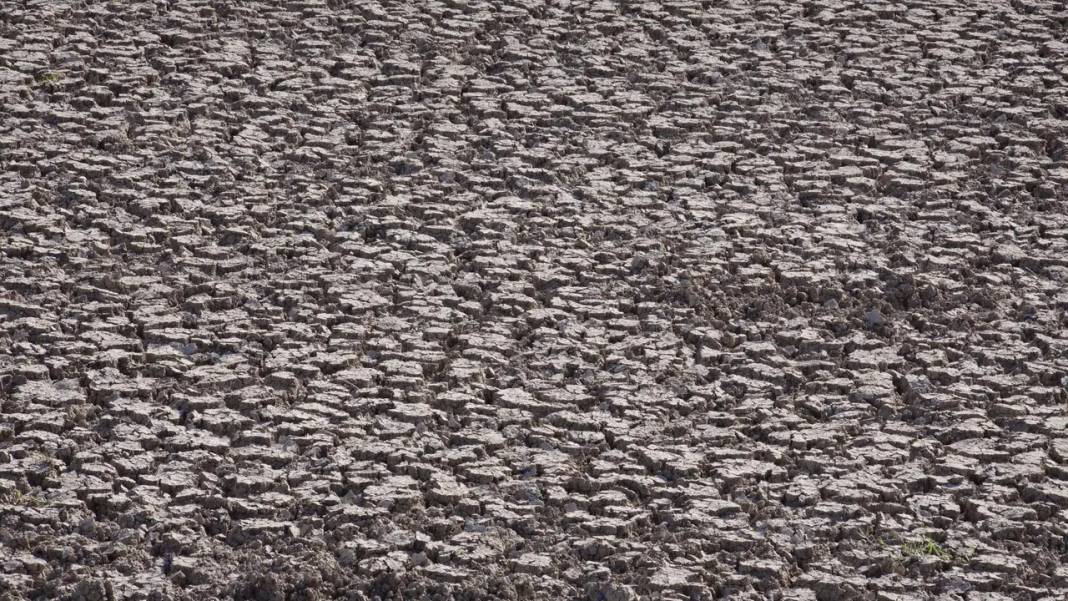 Eğirdir Gölü İkiye Ayrıldı! Doğal Cennet Can Çekişiyor 8